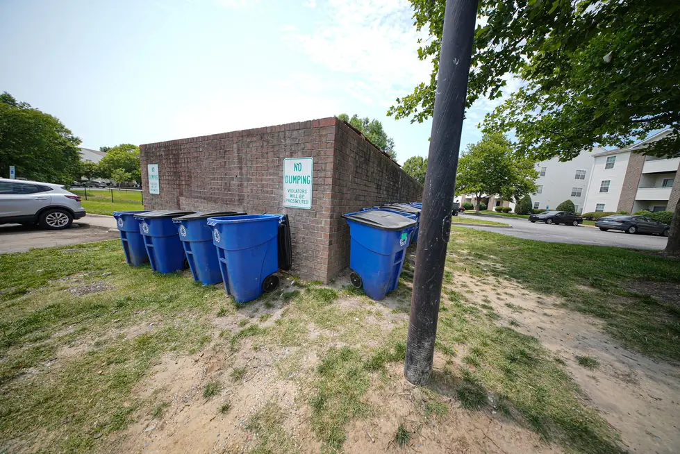 Row of blue wheeled bins beside a brick enclosure at an apartment community